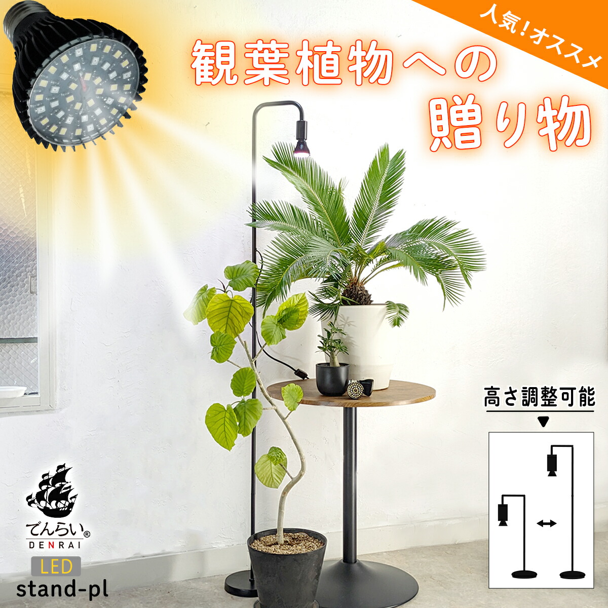 楽天市場】植物育成ライト スタンド 植物ライト 明るい 日照不足