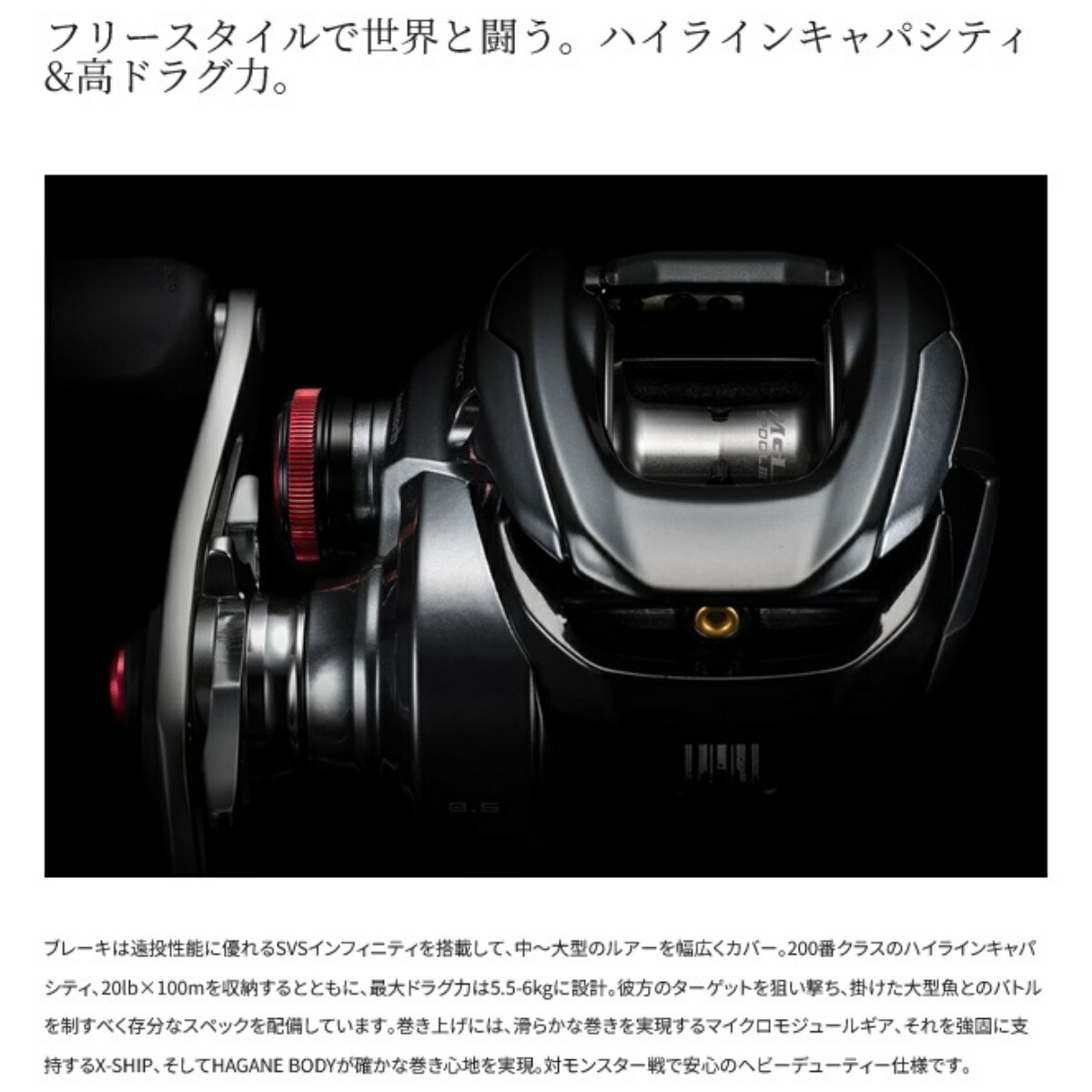 楽天市場】シマノ(SHIMANO) 24 スコーピオン MD 200XG 右ハンドル : dn