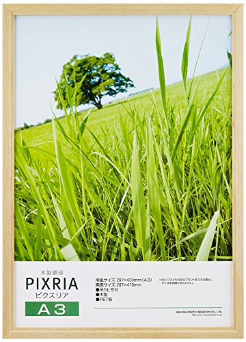 楽天市場】ハクバ 【まとめ買いセット】HAKUBA 木製額縁 ピクスリア A3