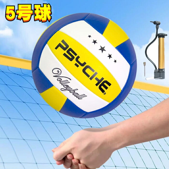 volleyball-01blue.jpg