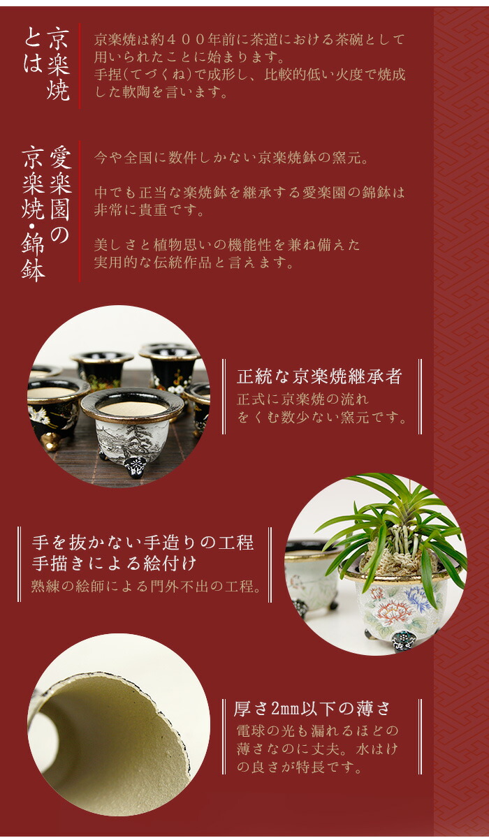 楽天市場】◇京楽焼窯元「愛楽園」直送◇『万年青鉢（おもと鉢） 虎