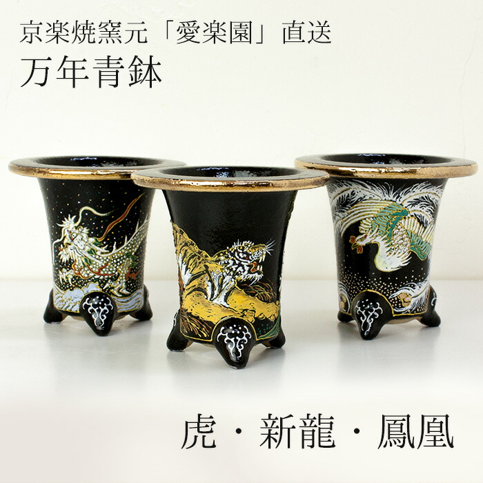 楽天市場】◇京楽焼窯元「愛楽園」直送◇『万年青鉢（おもと鉢） 虎