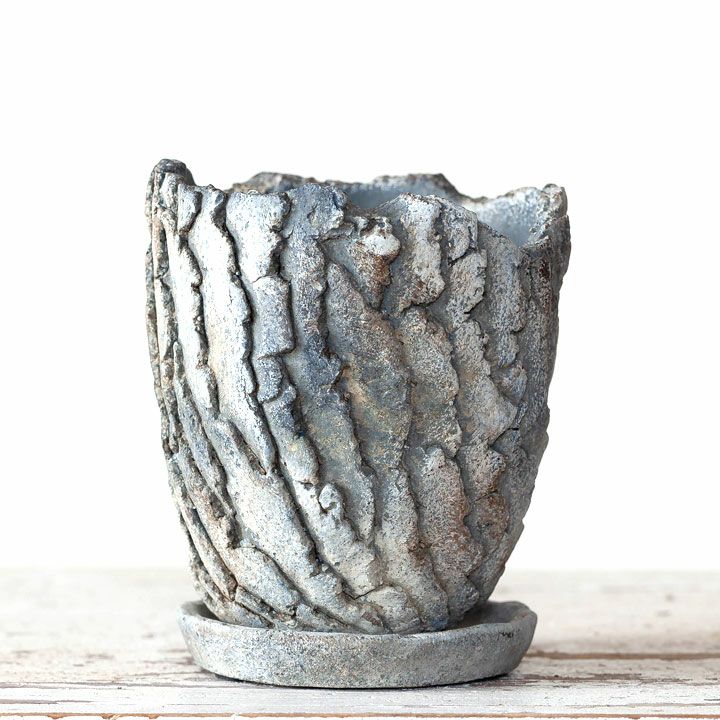 楽天市場】ゴツゴツ、石っぽくてカッコいい化粧鉢（12cm） : e-花屋さん