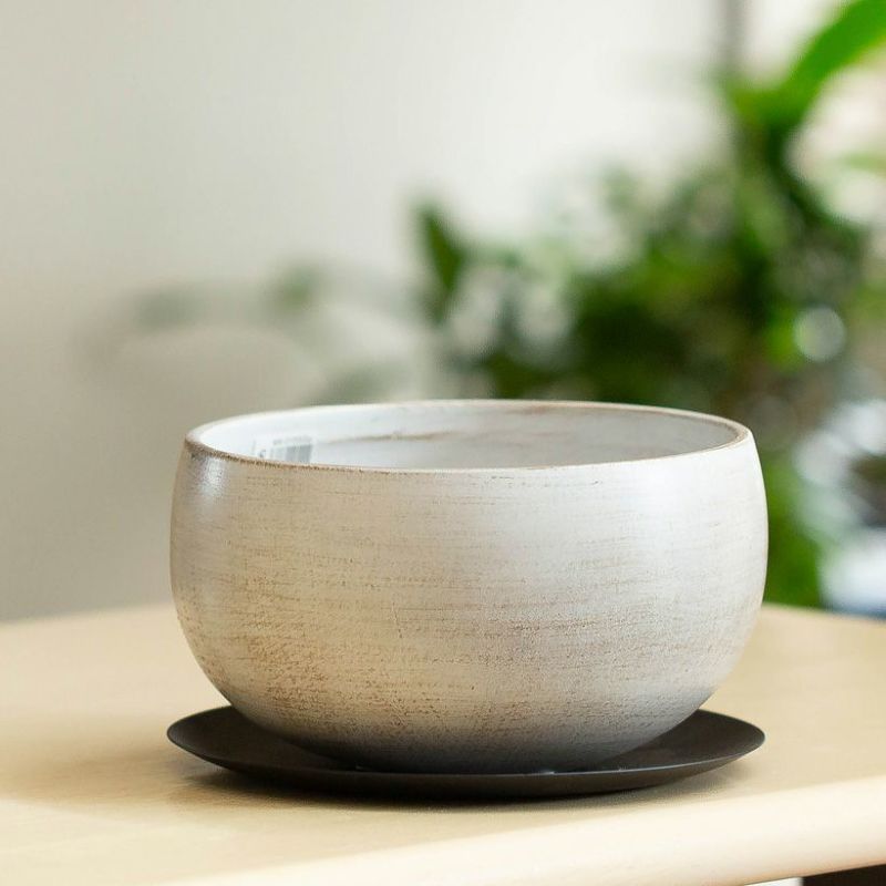 楽天市場】ゆったりとした、浅めのボール鉢（18cm）植木鉢 おしゃれ