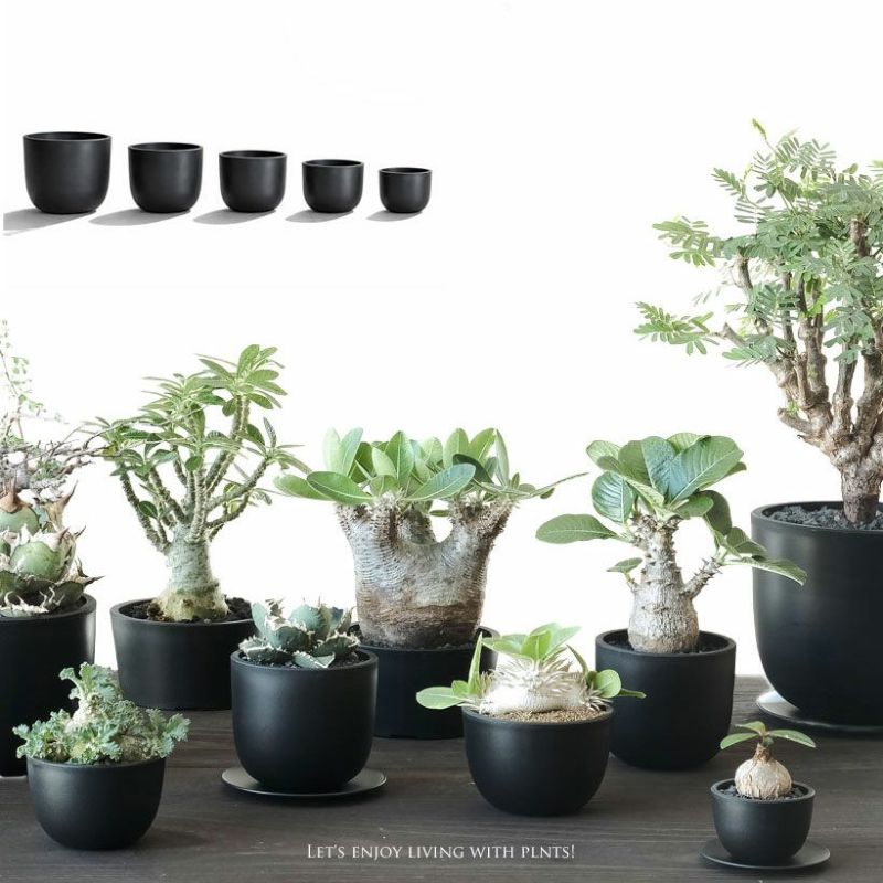 楽天市場】黒のベースポット（まる）植木鉢 [植物の色、質感映える