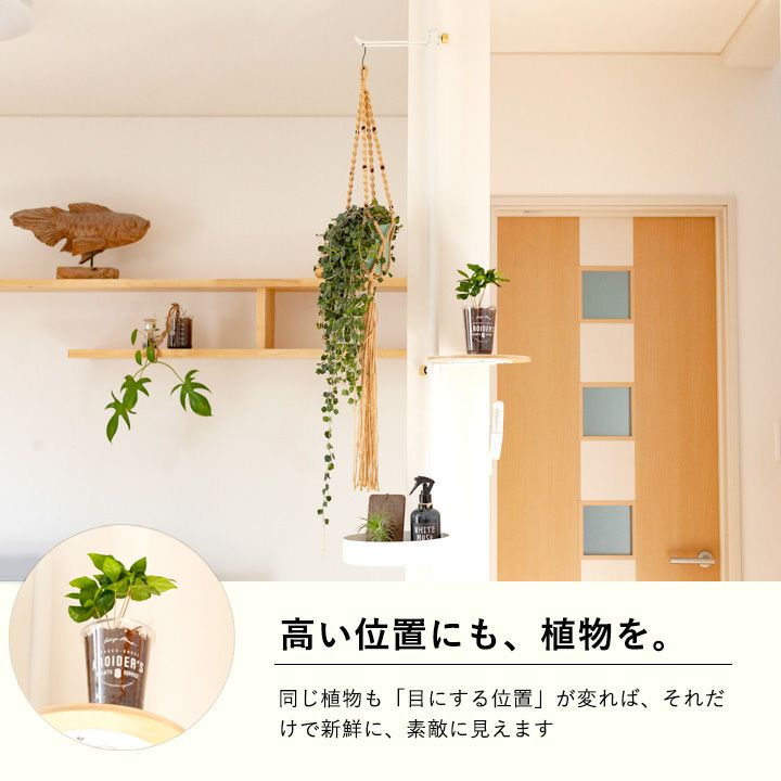 楽天市場】おしゃれ！縦の突っ張り棒（DRAW A LINE）おすすめ5点SET