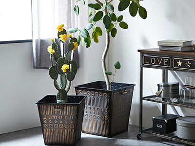 楽天市場】☆新春クリアランス30%OFFクーポン発行中！☆ 男前 角 大型