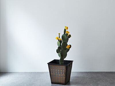 楽天市場】☆新春クリアランス30%OFFクーポン発行中！☆ 男前 角 大型