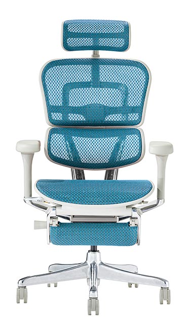 楽天市場】2025年新型 レビュー特典あり 組立設置付 エルゴヒューマン