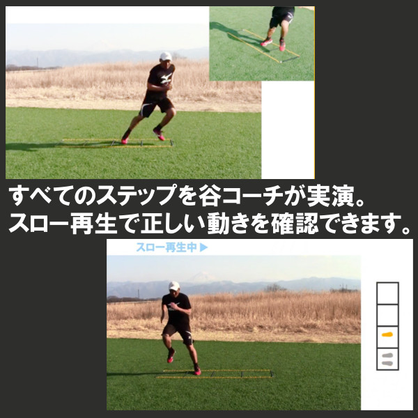 楽天市場】タニラダーベーシック シングルセット（サッカー版）DVD