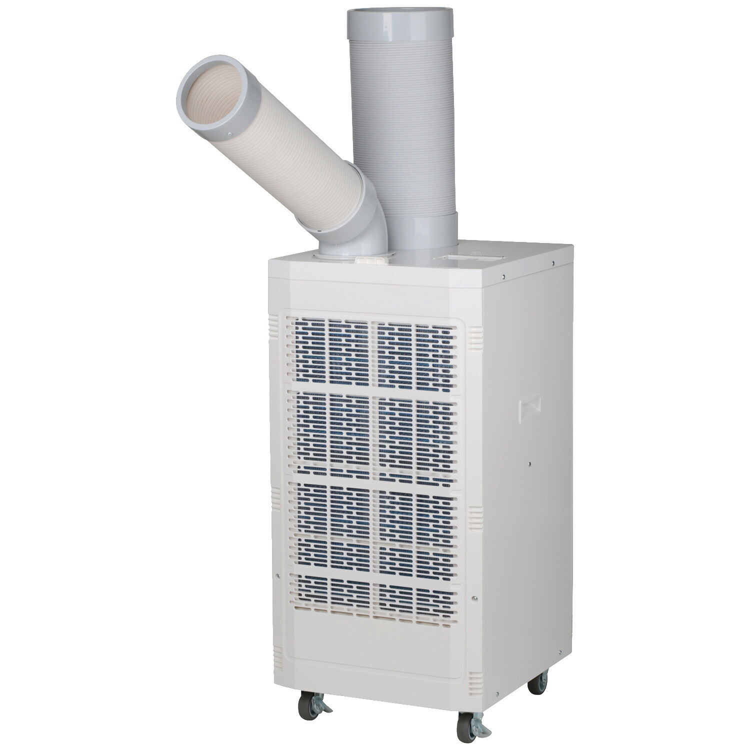 楽天市場】【早期購入1,000円オフクーポン 3/31 23:59まで】スポット