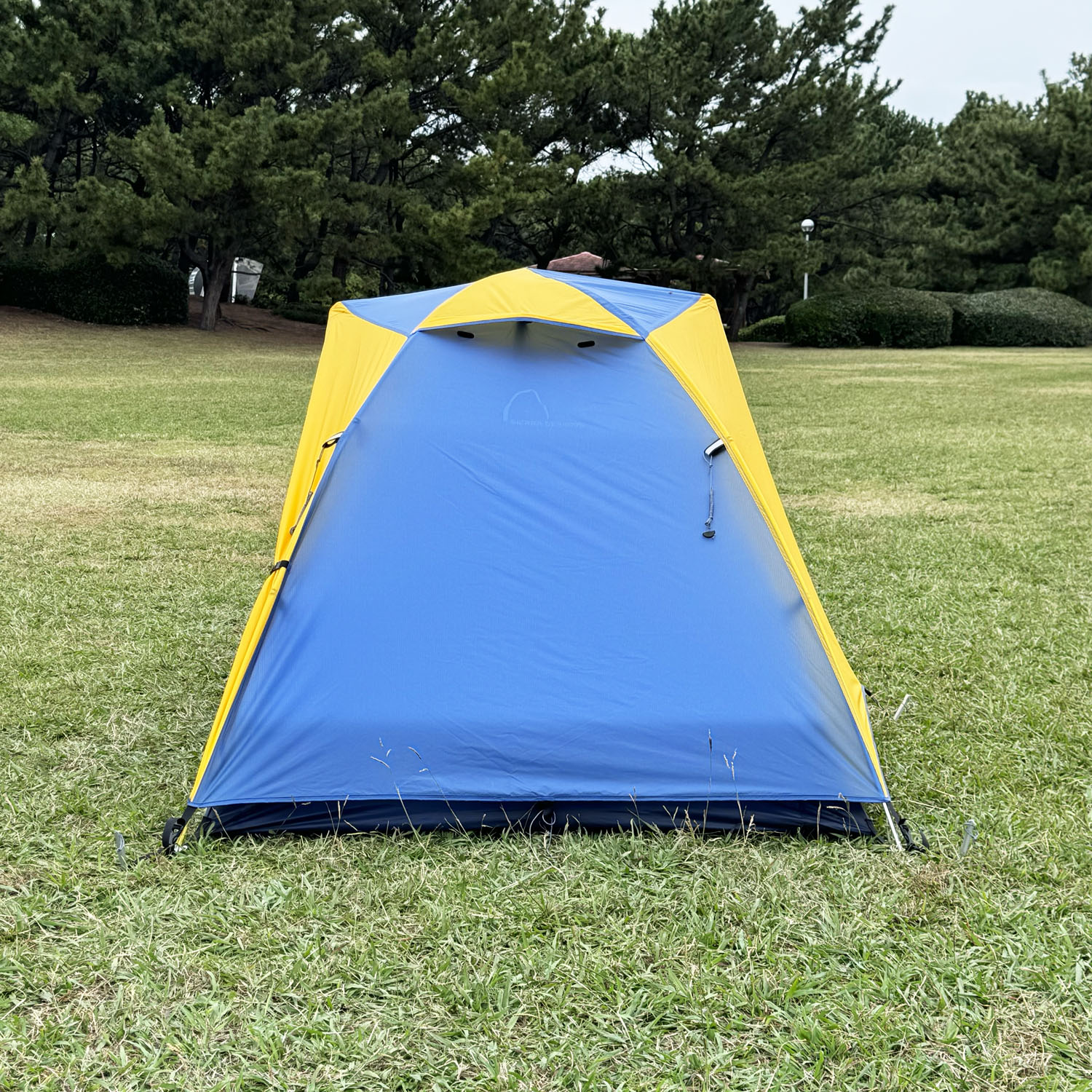 楽天市場】【SS期間中 5万円以上で5,000円OFFクーポン＆P最大10倍