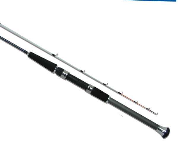 楽天市場】伊勢 エビ 竿（ロッド・竿本体｜ロッド・竿）：フィッシング