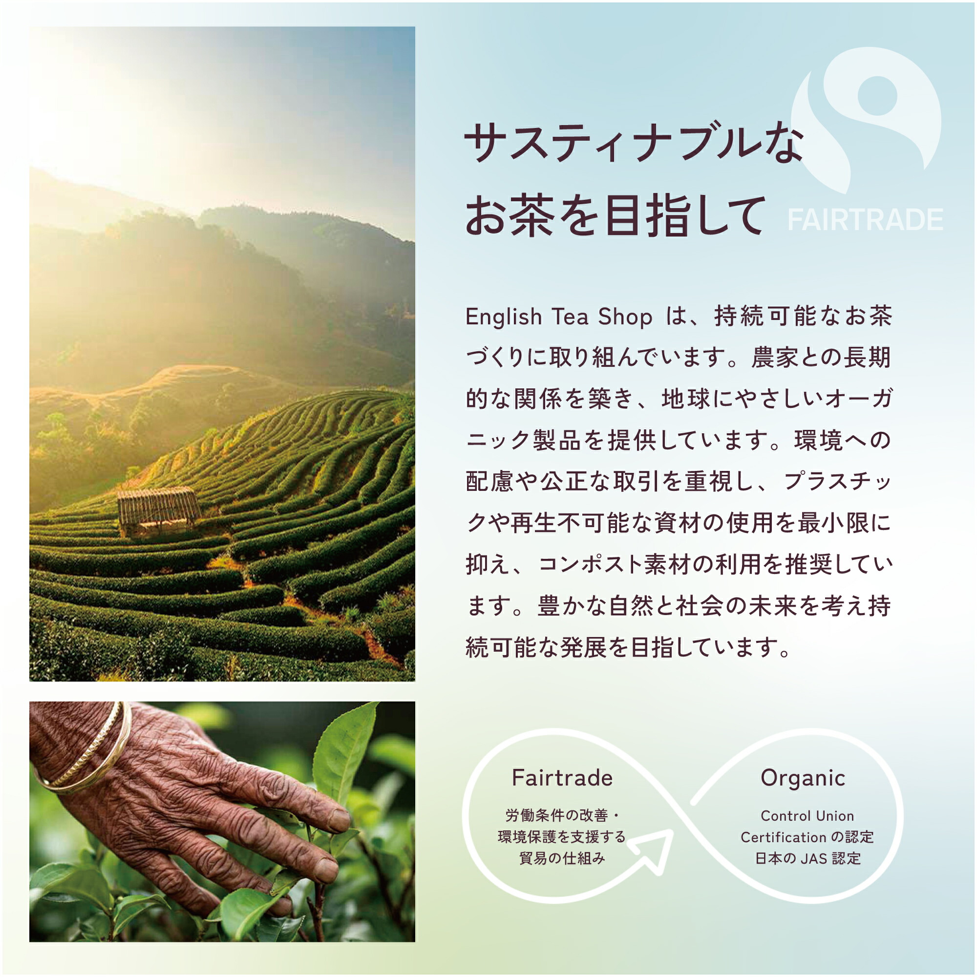 楽天市場】【公式】ルイボスココア＆バニラ (20袋入り) / ノンカフェ