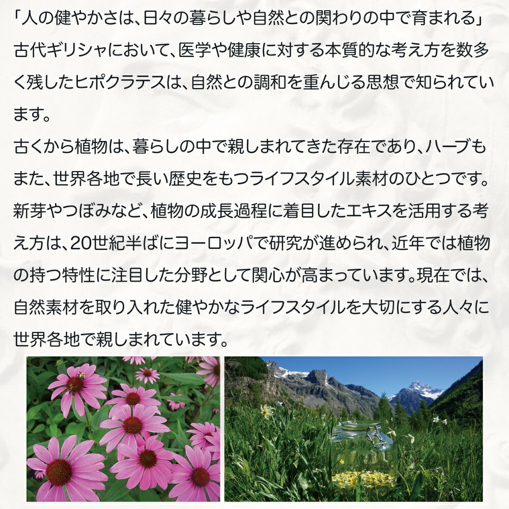 楽天市場】【スーパーセール期間10%オフ】ジェモセラピー オリーブ