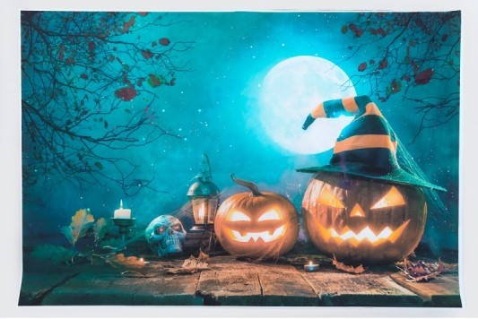 楽天市場】背景布 ハロウィン 背景布 撮影用 背景シート ハロウィン