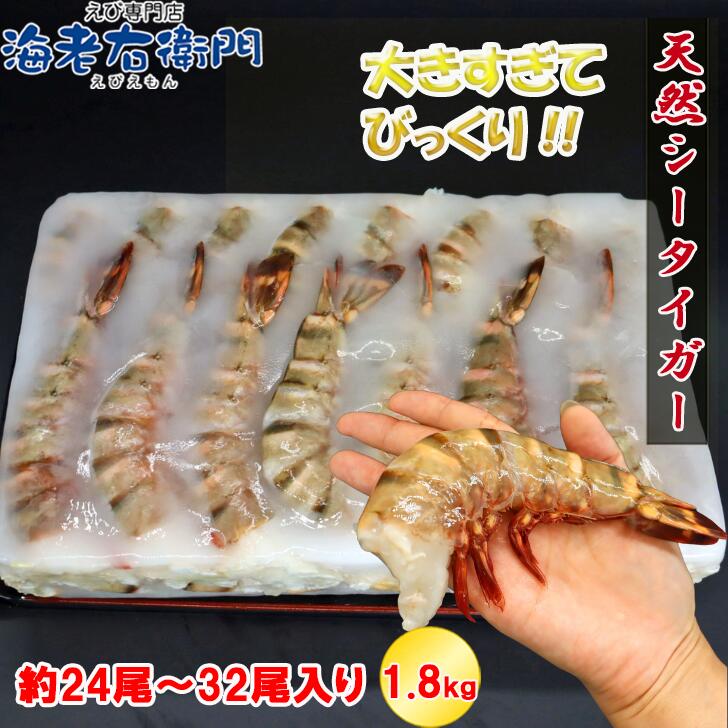 楽天市場】超超特大 6/8サイズ 約24尾〜32尾入り 天然シータイガー 無
