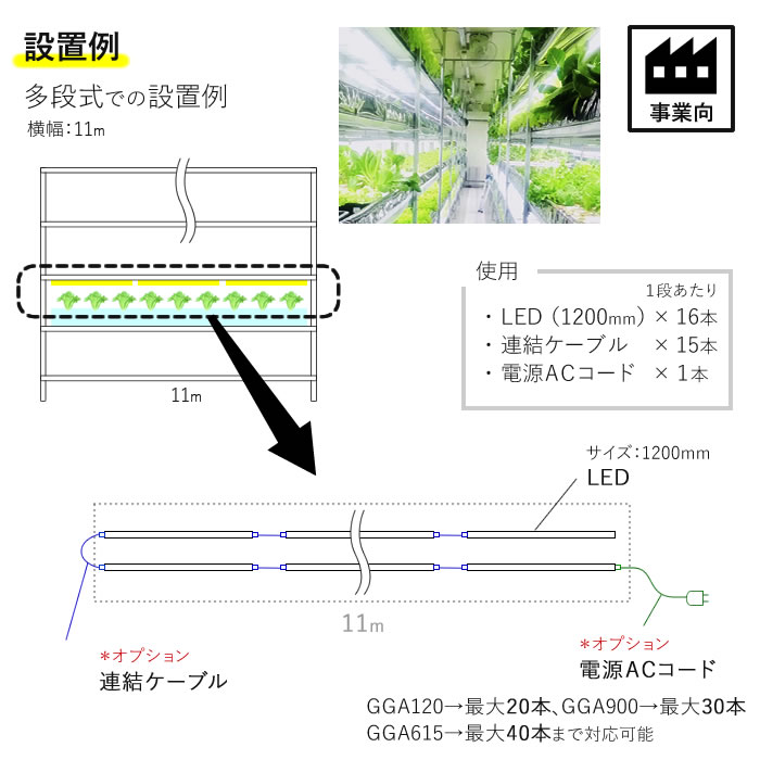楽天市場】植物育成ライト led 水耕栽培 ledライト GG新型おやさい