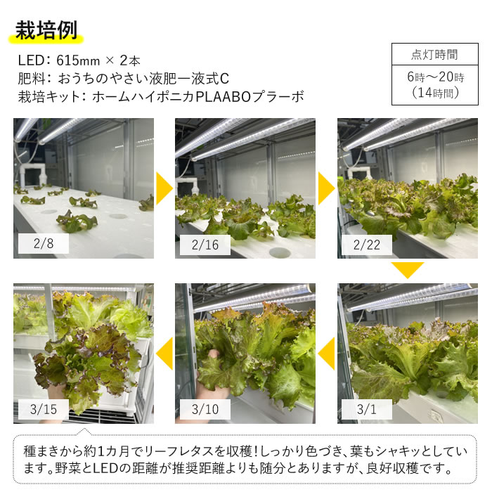 楽天市場】【2本セット】植物育成ライト led 水耕栽培 ledライト GG
