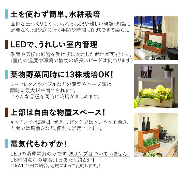 楽天市場】水耕栽培キット LED 室内 水耕栽培 おしゃれ 家庭菜園