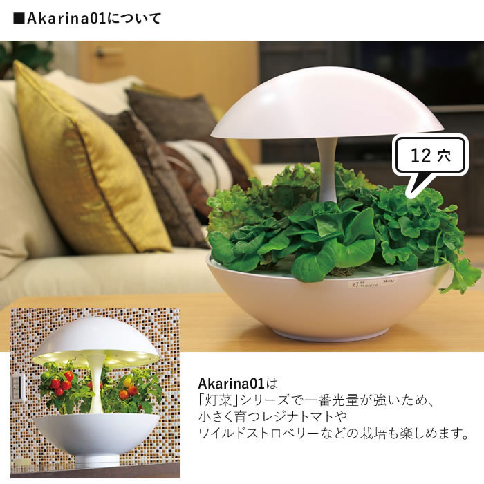 楽天市場】水耕栽培キット LED 室内 水耕栽培 おしゃれ 家庭菜園