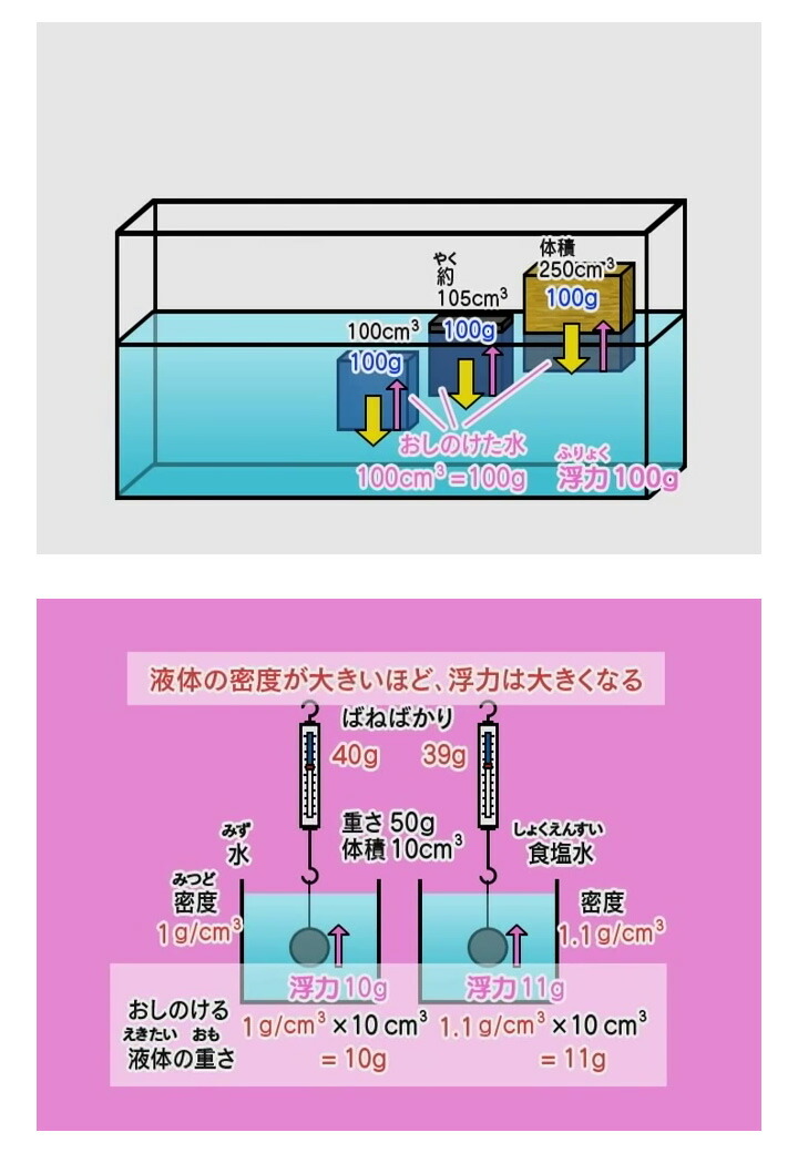 楽天市場】わかるよ！力のはたらき1 小学生の理科 DVD 日本語 【正規