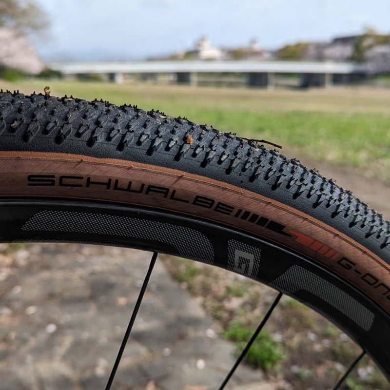 楽天市場】【SCHWALBE / シュワルベ】 G-ONE R G1R ジーワンR グラベル