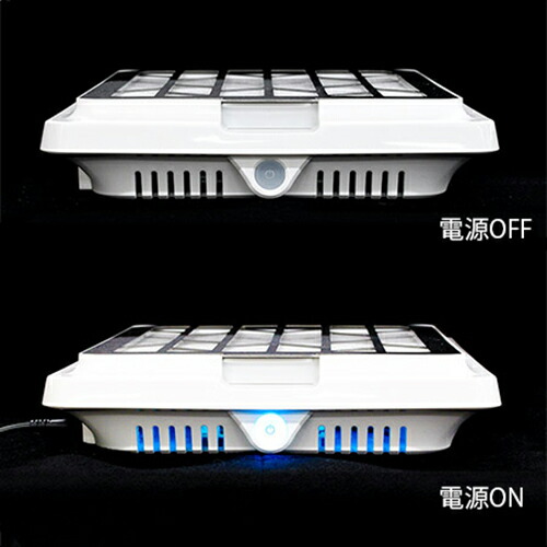 楽天市場】【 交換用フィルター1枚付属 】 シャレドワ SHAREYDVA