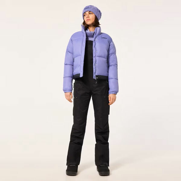 楽天市場】41%off 送料無料 スノーボードウェア レディース パンツ