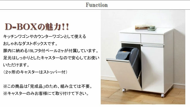 楽天市場】2分別ダストボックス≪D-BOX-2D≫ 送料無料（一部地域を