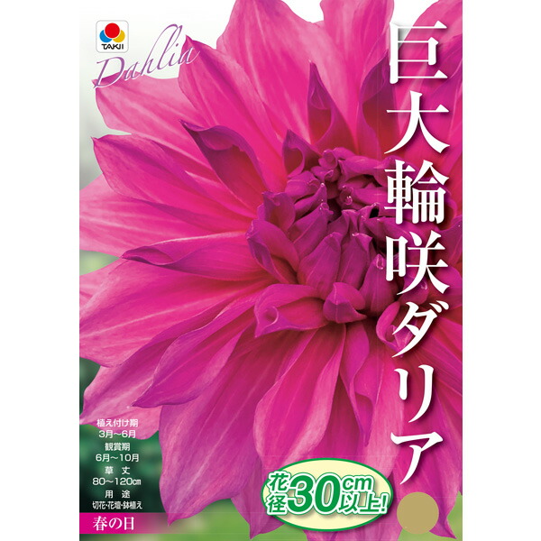 楽天市場】ダリア 球根の通販
