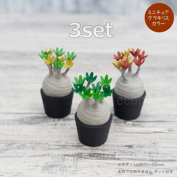 楽天市場】3D フィギュア ミニチュア 3セット カラー パキポディウム
