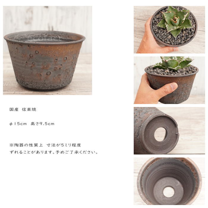 楽天市場】陶器鉢 植木鉢 5号 クレーターポット φ15cm 中深 ゴールド