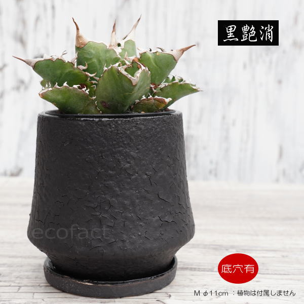 楽天市場】陶器鉢 植木鉢 ミニポット 底穴あり オルガM ブラック 黒