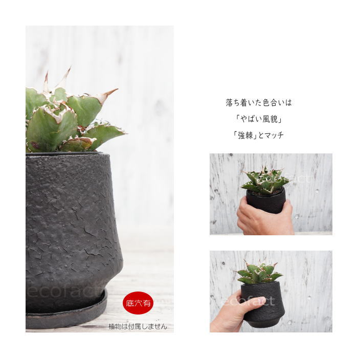 楽天市場】陶器鉢 植木鉢 ミニポット 底穴あり オルガM ブラック 黒