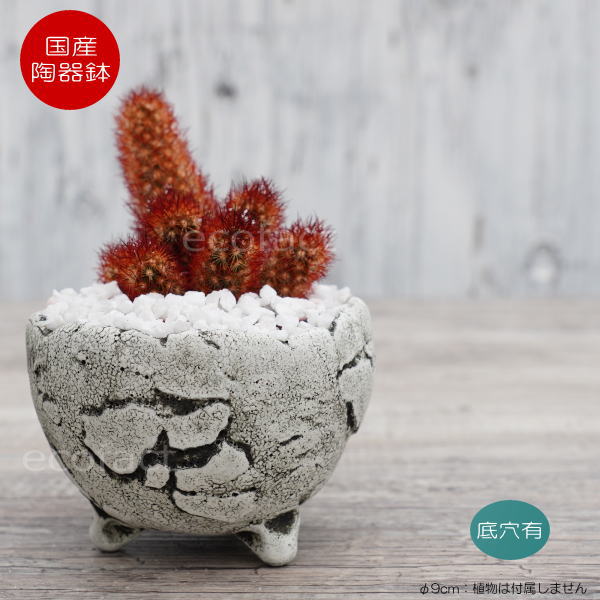 楽天市場】有田焼（植木鉢・プランター｜ガーデニング・農業）：花