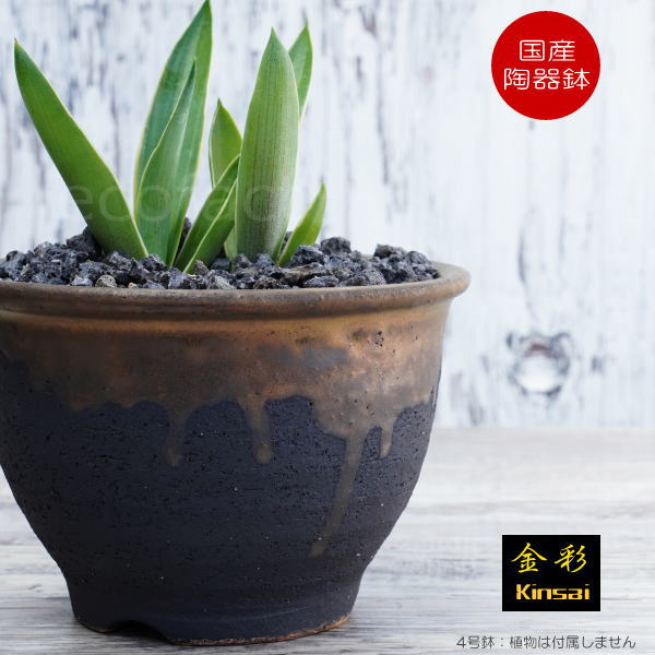 楽天市場】陶器鉢 植木鉢 4号フチ 底穴あり 金彩 ブラック おしゃれ