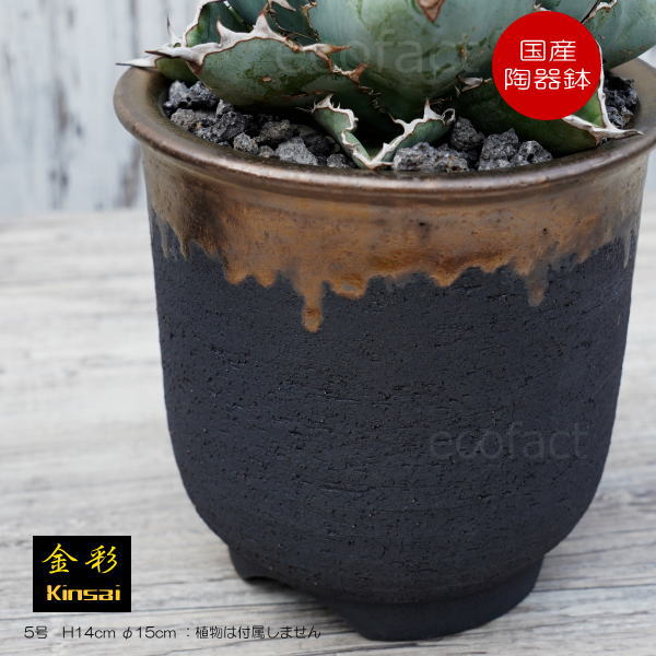 楽天市場】陶器鉢 植木鉢 5号 底穴あり 金彩 高鉢 H14cm ブラック