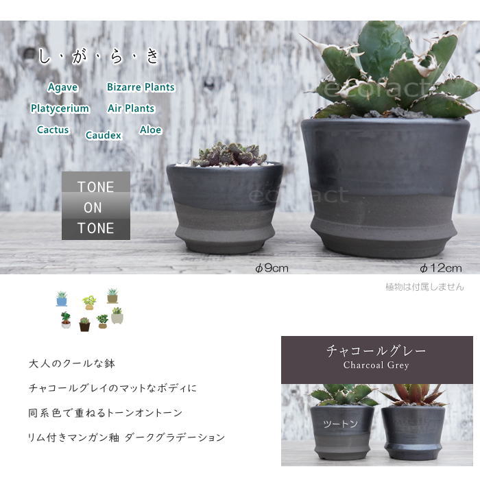 楽天市場】陶器鉢 植木鉢 φ9cm リム型グレイツートンS 底穴あり