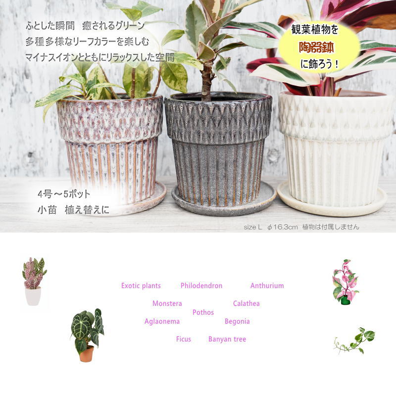 楽天市場】ポット 鉢 植木鉢 プランター おしゃれ 陶器 φ16.3cm Merge