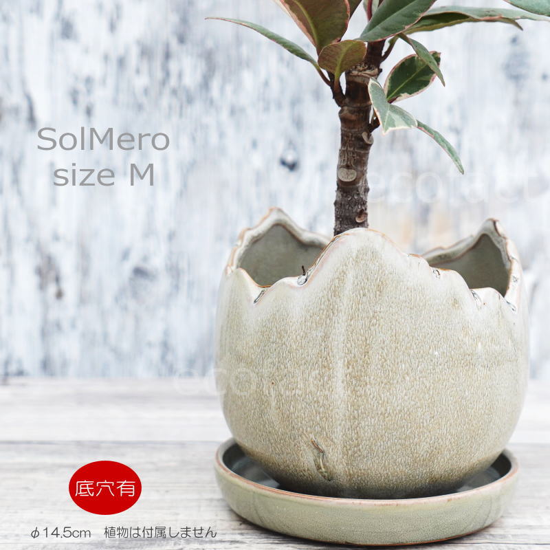 楽天市場】ポット 鉢 植木鉢 プランター おしゃれ 陶器 φ14.5cm