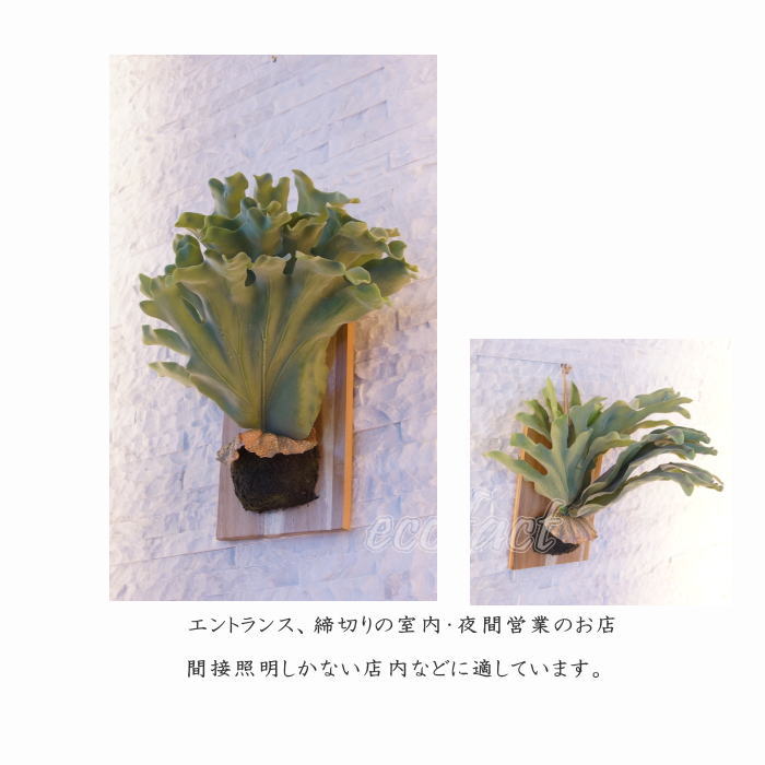 楽天市場】フェイクグリーン ハンギング 大型 壁掛け コウモリラン