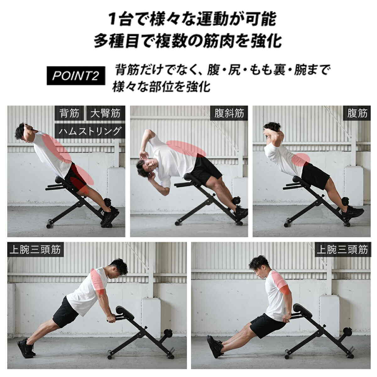 楽天市場】☆ポイント5倍！3/1〜3/10☆トレーニングベンチ バック