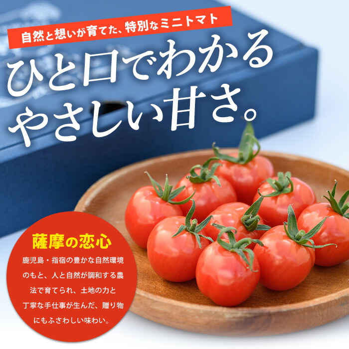 楽天市場】【ふるさと納税】鹿児島県指宿市産さくらんぼトマト 薩摩の
