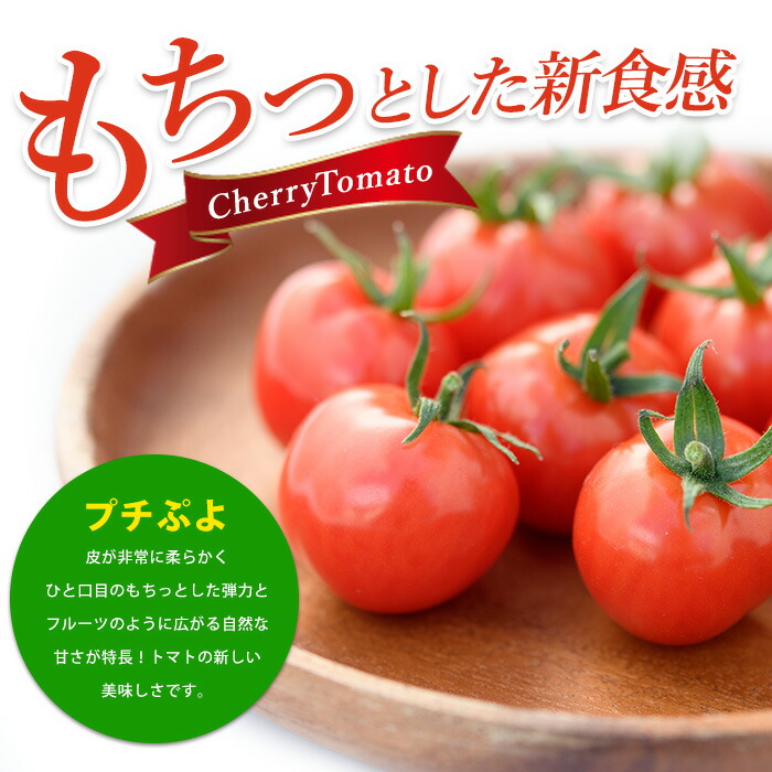 楽天市場】【ふるさと納税】鹿児島県指宿市産さくらんぼトマト 薩摩の