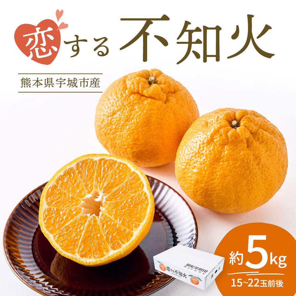 楽天市場】【ふるさと納税】 先行予約 不知火 恋する不知火 約5kg