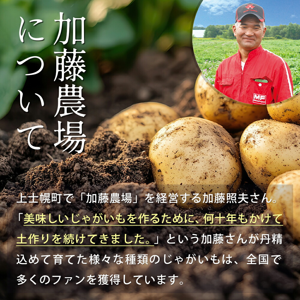 楽天市場】【ふるさと納税】北海道産 インカのめざめ その他3種の