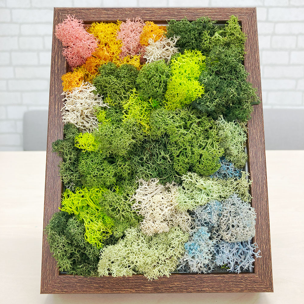 楽天市場】【ふるさと納税】スカンディアモス アートワーク 枠カラー