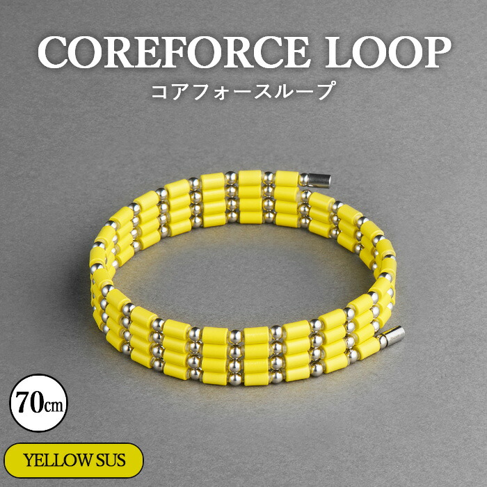 楽天市場】【ふるさと納税】コアフォースループ SUS 70cm ／ COREFORCE
