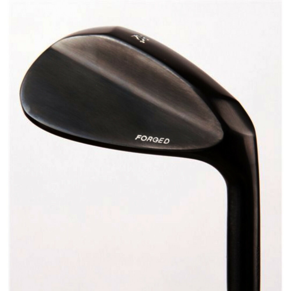 楽天市場】Ray SX-PRO WEDGE ウェッジ RomaRo ロマロ《 SHAFT